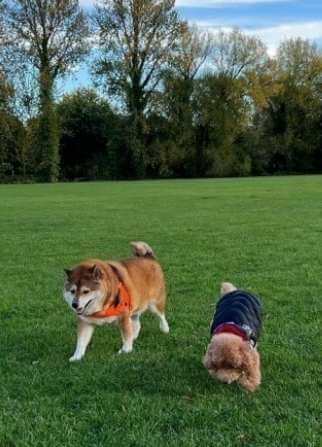 Coby 現在延續著與健太共同記憶的照片