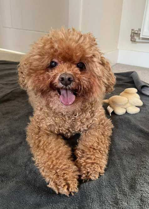 Coby 的日常照片