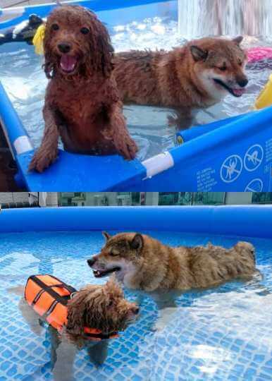 健太與 Coby 的共同回憶照片一